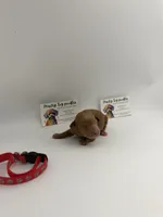 Red male, a male Poodle - Toy  for sale in Lyons, GA – 1 of 3