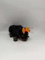 TINY  Female CKC, a female Yorkshire Terrier for sale in Lyons, GA – 5 of 5