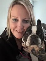 Josie, a female French Bulldog for sale in Fayetteville, NC – 4 of 4