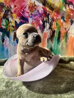 processed/21ae3754-04a5-4098-8958-c902b5bd696b/listing/748543f2-6b8a-4479-a7e7-935f4c5c0e18/36551dd6-f461-4953-84e8-e6157d9e8201