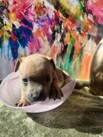 processed/21ae3754-04a5-4098-8958-c902b5bd696b/listing/748543f2-6b8a-4479-a7e7-935f4c5c0e18/6897e53e-ac36-40dc-93a8-e9060aa563a3