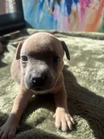 processed/21ae3754-04a5-4098-8958-c902b5bd696b/listing/748543f2-6b8a-4479-a7e7-935f4c5c0e18/df7c889d-ee76-4802-9dc9-ca701de6eeab