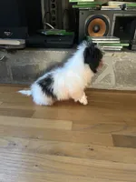 processed/21b052c4-716f-41a2-bd96-d56ef2780f54/listing/9b1e6fe2-35a3-46f2-afc7-eef3f89e68d4/1df8ec6c-14e6-4057-b1af-1998fbc4152b