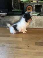 processed/21b052c4-716f-41a2-bd96-d56ef2780f54/listing/9b1e6fe2-35a3-46f2-afc7-eef3f89e68d4/3003e21a-f43b-4c68-87e9-75e14838ad4e