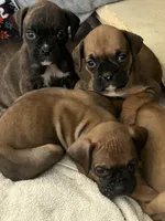 processed/21b143a1-d576-4cf5-8b4e-d4b2bb4132ec/facility/0e899238-a7c6-4fdd-bb55-46fe11fa1ed7