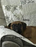 processed/21b143a1-d576-4cf5-8b4e-d4b2bb4132ec/facility/24b44494-9261-4860-9a2f-9085b1aa94ff