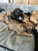 processed/21b143a1-d576-4cf5-8b4e-d4b2bb4132ec/facility/992ad690-5729-4e32-9a78-40dc6a6007f3