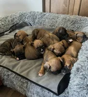 processed/21b143a1-d576-4cf5-8b4e-d4b2bb4132ec/facility/f4ff5525-0816-4329-9db0-95faf314ce49