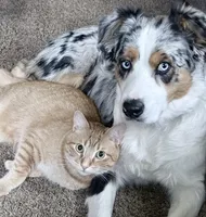 processed/21b74264-7349-4e10-926c-58de92ca051f/facility/2b9dd4c1-a3c9-4a72-ac08-9d6cccc3aa02