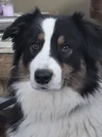 processed/21b74264-7349-4e10-926c-58de92ca051f/facility/457b8ea4-de5d-4689-85f7-fb26f2bef76e