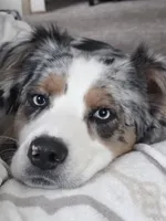 processed/21b74264-7349-4e10-926c-58de92ca051f/facility/78b3bf0c-50bf-45a7-9872-59e25762b7fd