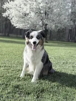 processed/21b74264-7349-4e10-926c-58de92ca051f/facility/8c3af349-2f50-40ab-8a57-db2c4b66613a