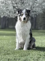 processed/21b74264-7349-4e10-926c-58de92ca051f/facility/c7c55d57-50b5-4e78-a220-ecd40c484f0f