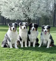 processed/21b74264-7349-4e10-926c-58de92ca051f/facility/e7a423e1-9368-4dd0-88fe-b2ac147e8976