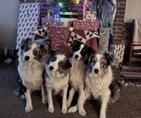 processed/21b74264-7349-4e10-926c-58de92ca051f/facility/f9b9119f-7651-4b86-9a59-ae7830d6d0bb