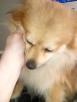 processed/21c4687a-ee0a-4656-9704-975690e192c8/listing/a9bb6a0b-a264-48c9-8142-00e5608a5049/5f4cd3d0-2bee-4080-b84b-65383a66eea0