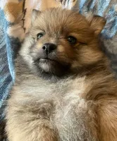 processed/21c4687a-ee0a-4656-9704-975690e192c8/listing/a9bb6a0b-a264-48c9-8142-00e5608a5049/8f621da6-fb14-4064-99d3-b61de4d46721