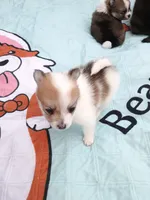 processed/21c4687a-ee0a-4656-9704-975690e192c8/listing/e00f77fe-c049-4d09-9e09-f498161e0856/0dae798f-e41c-458a-b05a-86e0f80338bf