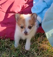 processed/21c4687a-ee0a-4656-9704-975690e192c8/listing/e00f77fe-c049-4d09-9e09-f498161e0856/0df2861b-2d05-4b73-8ee4-c380f2331f01