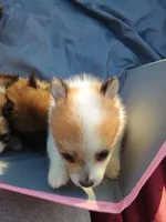 processed/21c4687a-ee0a-4656-9704-975690e192c8/listing/e00f77fe-c049-4d09-9e09-f498161e0856/477e9807-9848-44d0-892f-6769c530d57a