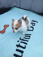 processed/21c4687a-ee0a-4656-9704-975690e192c8/listing/e00f77fe-c049-4d09-9e09-f498161e0856/ae4ba2e3-cb6c-4584-825b-e6832f92197c