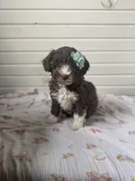 processed/21c821cd-9657-447e-b379-2e99a78e962c/listing/c38dd235-b5a6-430c-8bc6-fb80eef6b8ea/fdb3092f-3038-46bc-8423-95d5b7bb91c6