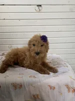 processed/21c821cd-9657-447e-b379-2e99a78e962c/listing/c93bdcb2-52ce-4e60-b573-8855645654db/0638184f-1358-4ead-9c55-04952da4d99a