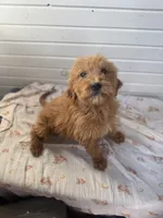 processed/21c821cd-9657-447e-b379-2e99a78e962c/listing/c93bdcb2-52ce-4e60-b573-8855645654db/d8021615-5cbd-442a-a558-525dbd24e47d