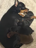 processed/21d4d452-be6b-49d1-a03a-d2995fd488a0/facility/e968a7ea-7591-4e5e-91ec-7240c707df89