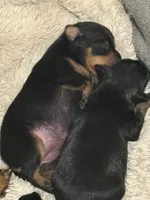 processed/21d4d452-be6b-49d1-a03a-d2995fd488a0/facility/fba74a66-6f9f-491d-960b-1bb891fa5b01