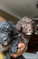 processed/21dae3e7-ad7e-46bc-96f4-4d8ff3f3acdb/listing/9229013f-e339-4e73-b308-701cd1061bc7/29bb21b0-cb82-4461-9df7-ea47e028ff2e