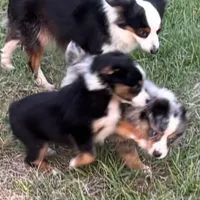 processed/21ddc6d3-e220-4a76-abbf-28de59b907b3/facility/1337c9c5-a9c1-45d2-8375-68dc0625abc0