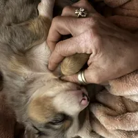 processed/21ddc6d3-e220-4a76-abbf-28de59b907b3/facility/1778b6f6-4666-4845-9be2-e2e098c13104