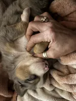 processed/21ddc6d3-e220-4a76-abbf-28de59b907b3/facility/1778b6f6-4666-4845-9be2-e2e098c13104