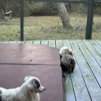 processed/21ddc6d3-e220-4a76-abbf-28de59b907b3/facility/25bc4529-0b8b-4af8-8582-2c24bc6da81a