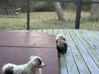 processed/21ddc6d3-e220-4a76-abbf-28de59b907b3/facility/25bc4529-0b8b-4af8-8582-2c24bc6da81a