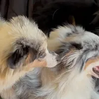 processed/21ddc6d3-e220-4a76-abbf-28de59b907b3/facility/2e27562c-0de8-4a2b-a752-f907a24c6e21