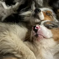 processed/21ddc6d3-e220-4a76-abbf-28de59b907b3/facility/55264e90-b159-4761-816e-8cafce5680b4