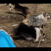 processed/21ddc6d3-e220-4a76-abbf-28de59b907b3/facility/5b5d626d-9e7a-4111-9db6-675d493270a2