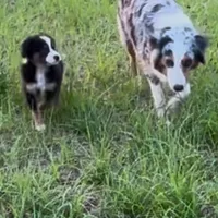 processed/21ddc6d3-e220-4a76-abbf-28de59b907b3/facility/976404c4-df22-4129-8ea1-7f3672008a4b