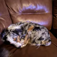 processed/21ddc6d3-e220-4a76-abbf-28de59b907b3/facility/a51f6355-555d-4f16-afb3-f03c95c80ec4