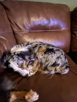 processed/21ddc6d3-e220-4a76-abbf-28de59b907b3/facility/a51f6355-555d-4f16-afb3-f03c95c80ec4