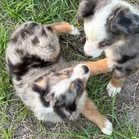 processed/21ddc6d3-e220-4a76-abbf-28de59b907b3/facility/b174dec2-e241-400a-9aef-1b4b30bfb2e2