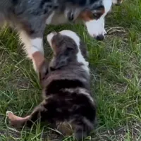 processed/21ddc6d3-e220-4a76-abbf-28de59b907b3/facility/e73272c7-28d4-4dd8-bdc6-fd4eb3155e61