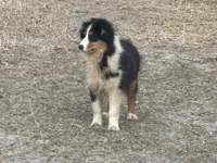 processed/21ddc6d3-e220-4a76-abbf-28de59b907b3/listing/504d2da6-0384-431e-9690-f0f8550f15dc/75d2a9d3-9390-4b50-b2fd-9e7f43eefbb1