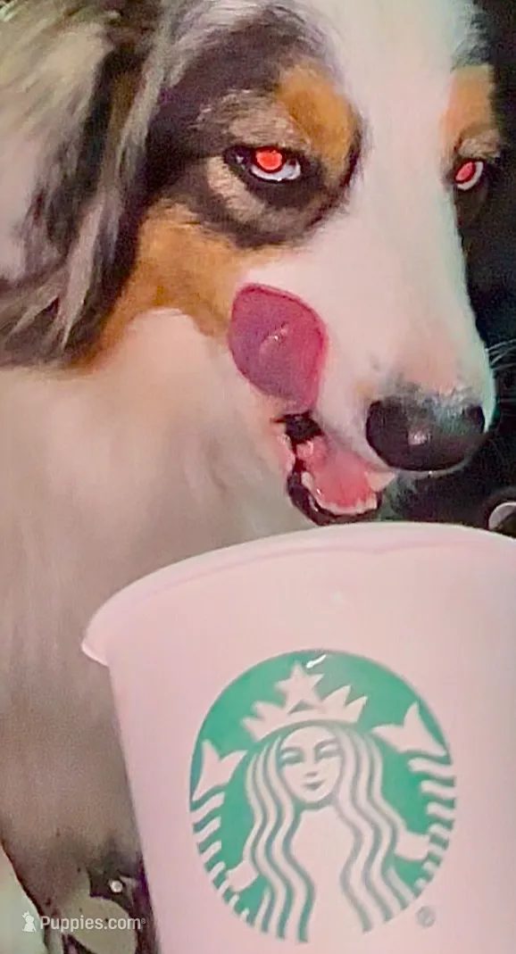 processed/21ddc6d3-e220-4a76-abbf-28de59b907b3/listing/a54644bd-700a-43e9-a969-8cd5784a47f1/29980a30-a716-4a43-b69b-fcbf761f472e