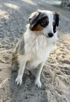 processed/21ddc6d3-e220-4a76-abbf-28de59b907b3/listing/a54644bd-700a-43e9-a969-8cd5784a47f1/e3b944a5-1674-4e17-9fef-9a1cc76ff949