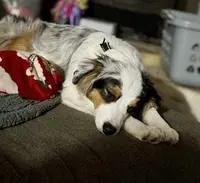 processed/21ddc6d3-e220-4a76-abbf-28de59b907b3/listing/a54644bd-700a-43e9-a969-8cd5784a47f1/e5da56ec-a7ea-4396-9b64-b0d12c63fa0e