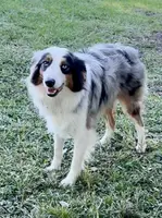 processed/21ddc6d3-e220-4a76-abbf-28de59b907b3/listing/a54644bd-700a-43e9-a969-8cd5784a47f1/ee421f54-ba57-407d-8a3e-c5a94fa04ed2