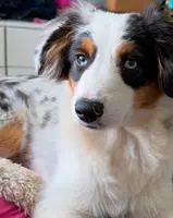 processed/21ddc6d3-e220-4a76-abbf-28de59b907b3/listing/a54644bd-700a-43e9-a969-8cd5784a47f1/f1bc93ad-6038-46f7-8066-2d7462817e8f